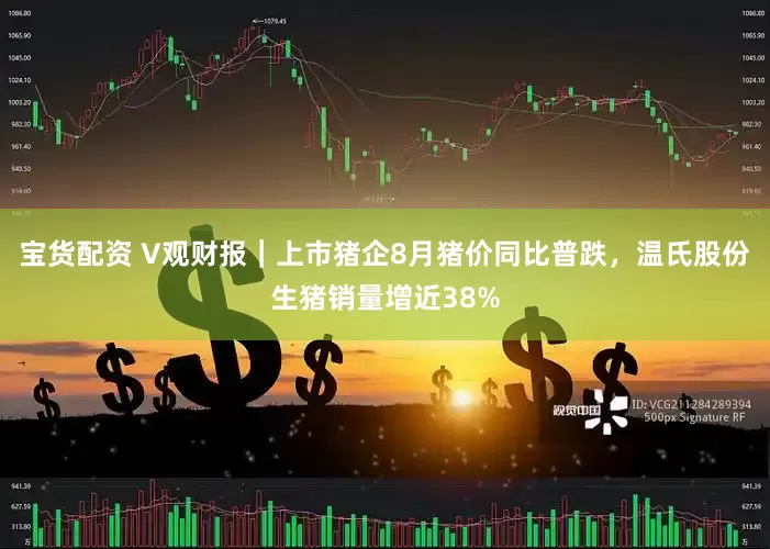 宝货配资 V观财报｜上市猪企8月猪价同比普跌，温氏股份生猪销量增近38%