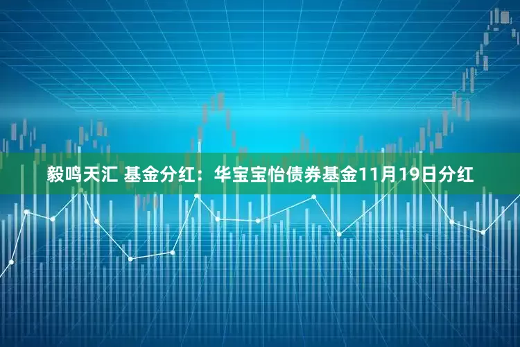 毅鸣天汇 基金分红：华宝宝怡债券基金11月19日分红